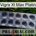 Vigra Xl Max Platinum 30
